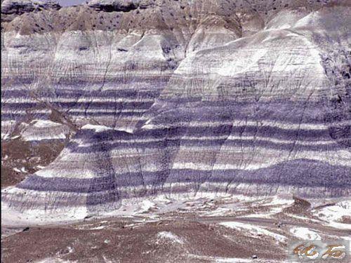 2014��߿���W(xu��)���W(xu��)���T����I(y��)��W(xu��)���������|(zh��)�W(xu��)�