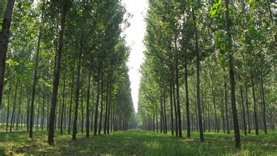 2014��߿���W(xu��)���W(xu��)���T����I(y��)��W(xu��)�������֌W(xu��)�