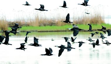 2014��߿���W(xu��)���W(xu��)���T����I(y��)��W(xu��)���������B(t��i)�W(xu��)�