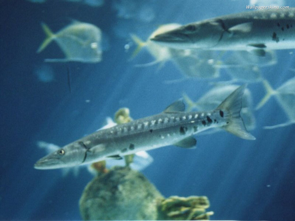 2014��߿���W(xu��)���W(xu��)���T����I(y��)��W(xu��)����������W(xu��)�