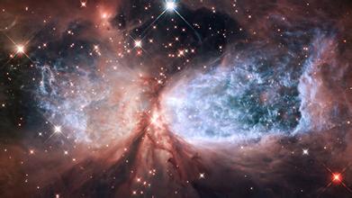 2014��߿���W(xu��)���W(xu��)���T����I(y��)��W(xu��)���������ČW(xu��)�