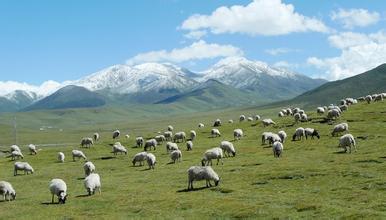 2014��߿���W(xu��)���W(xu��)���T����I(y��)��W(xu��)�����������W(xu��)�