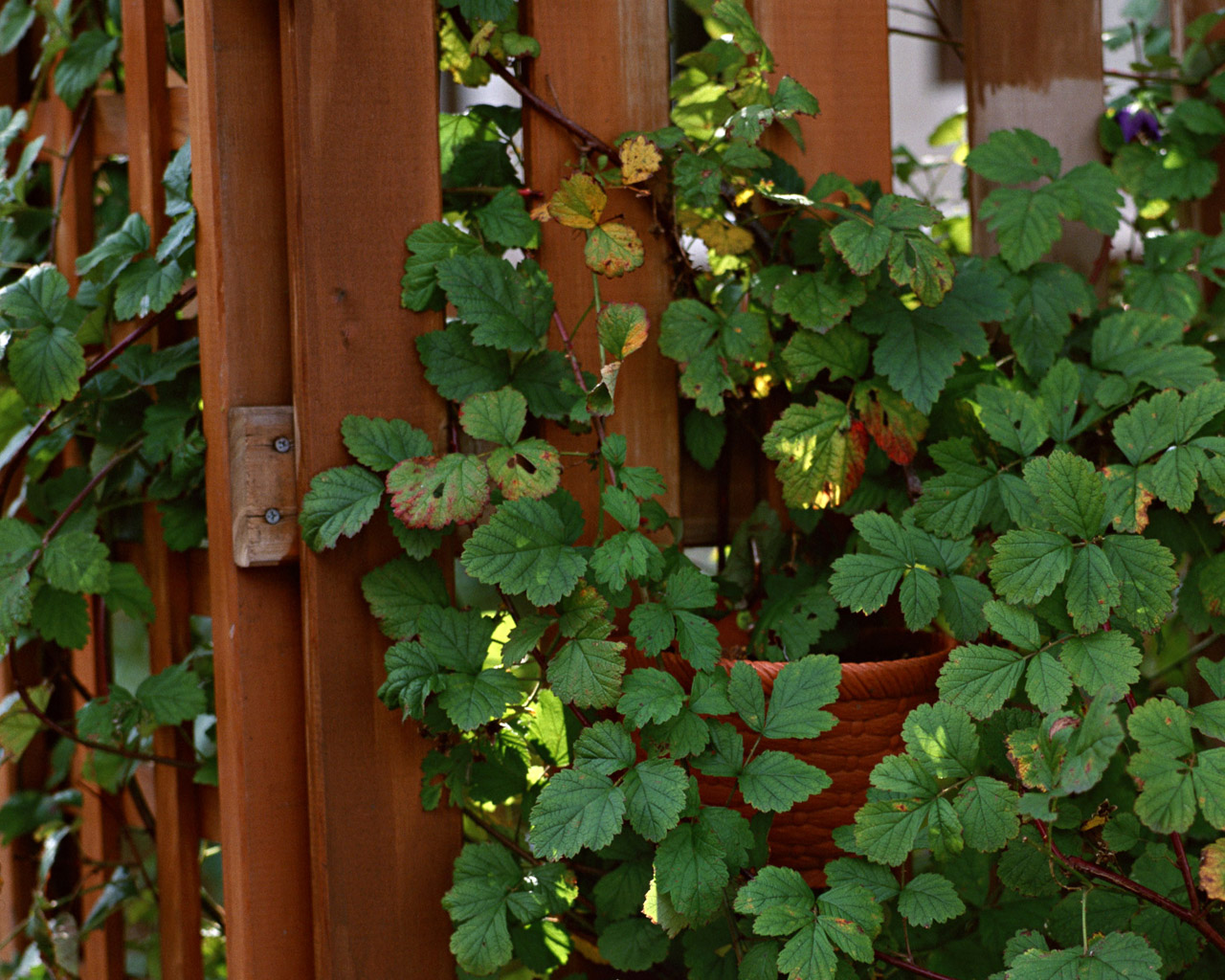 2014��߿���W(xu��)���W(xu��)���T����I(y��)��W(xu��)�������@ˇ�W(xu��)